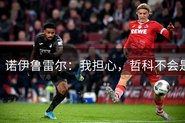 诺伊鲁雷尔：我担心，哲科不会是沙尔克从一开始就倚重的人